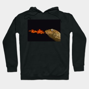 Fire Lizard Hoodie